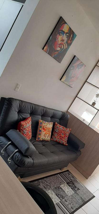 Apartamento De Lujo マニサレス エクステリア 写真